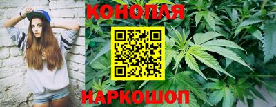 mdpv Ярославль