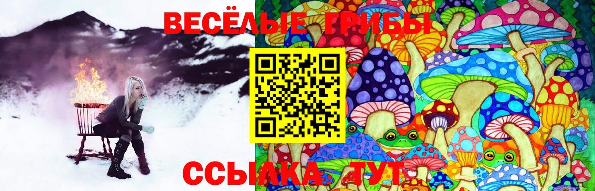 Галлюциногенные грибы Magic Shrooms  Вход с VPN  Аргун 
