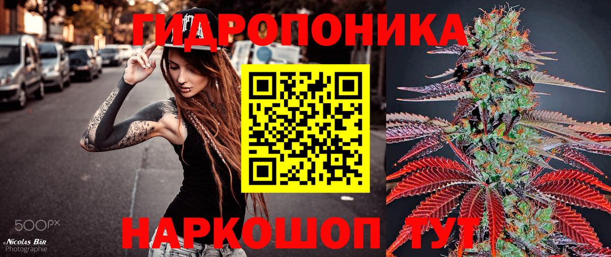 Аргун  МАРИХУАНА сатива  Шишки марихуана семена  Вход с VPN  Конопля конопля  Канабис план 